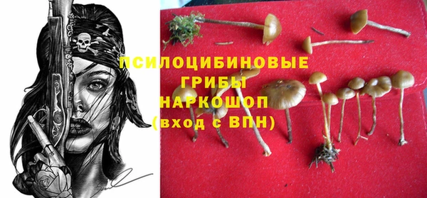 кокс Армянск
